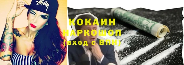 шишки Очёр