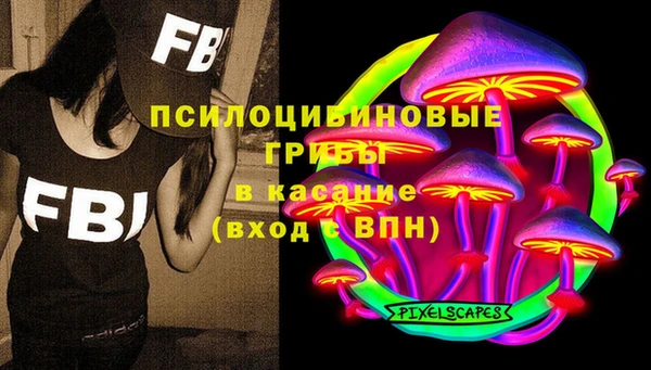 бошки Алексеевка