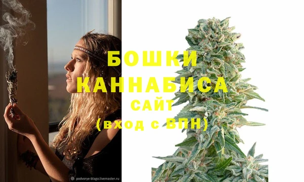 бошки Алзамай