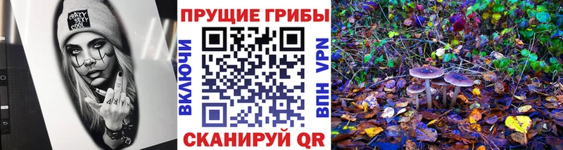 Псилоцибиновые грибы Psilocybe  Орёл 
